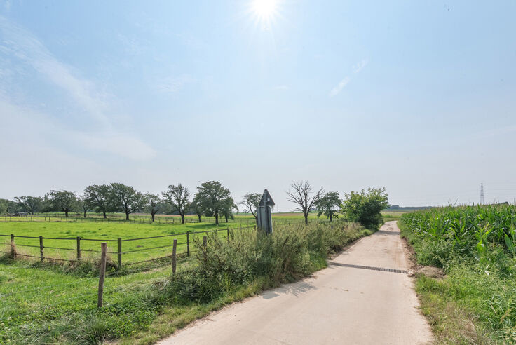 Ferme à vendre à Riemst