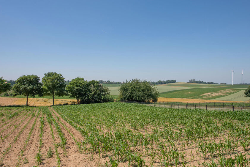 Appartement à louer à Riemst