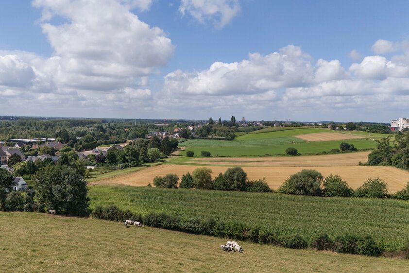 Bouwgrond te koop in Tongeren