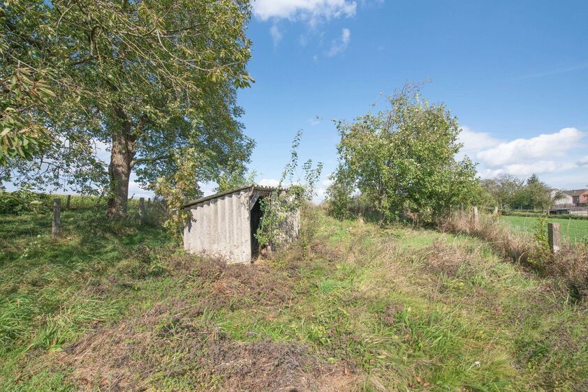 Eengezinswoning te koop in Riemst