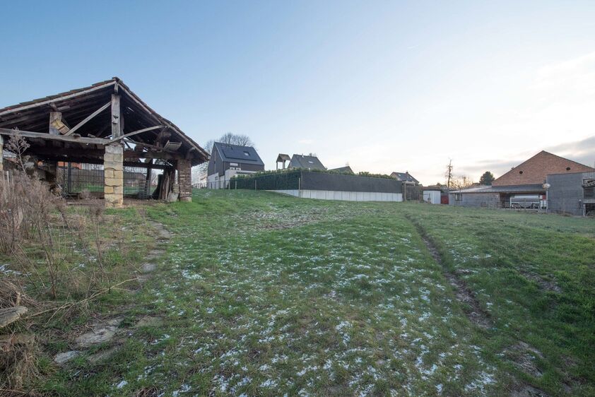 Ferme à vendre à Riemst