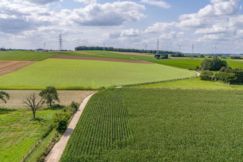 Ferme à vendre à Riemst