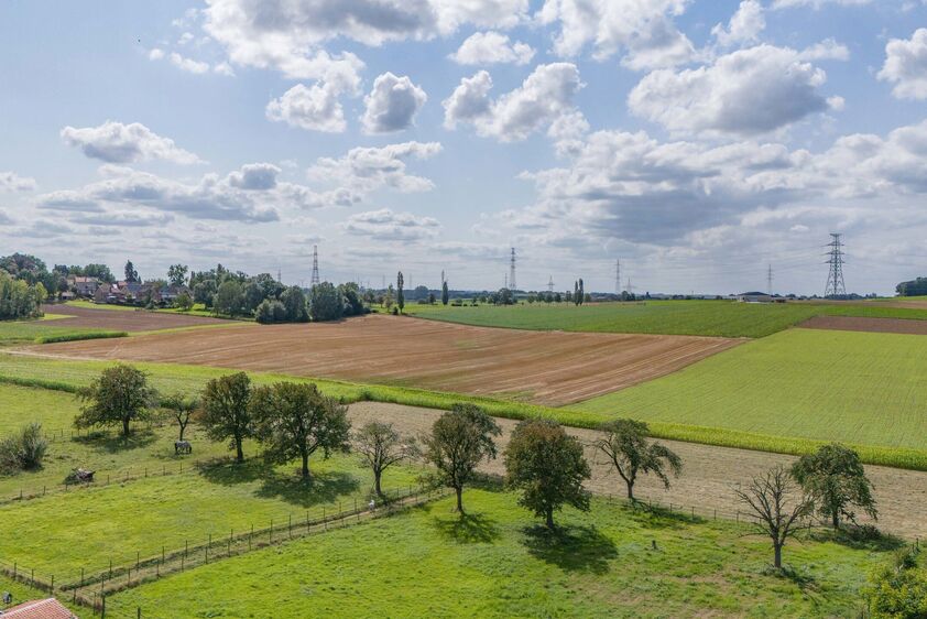 Ferme à vendre à Riemst