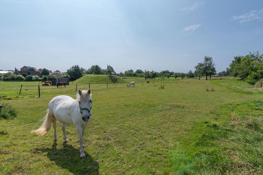 RIEMST - MILLEN Peperstraat 10. Sfeervolle gezinswoning met achtergelegen loodsen van 345m2 in de rustige dorpskern. Perceelopp 13a39ca. - EPC: 424 kWh/m2. - Stedenb. inl. in aanvraag - P: C-A, G: C-A. Vraagprijs: 590.000 k.k.