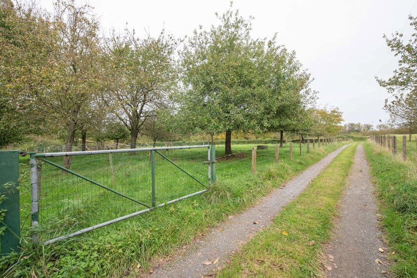 Riemst - Membruggen Rijckerstraat 16. Vrijstaande gezinswoning met 2 garages en 2 slaapkamers op een breed perceel van maar liefst 22a36ca. Mogelijkheid bijkopen extra weides. - EPC: 874 kWh/m2 - Stedenb. inl. in aanvraag - P: A, G: A. Vraagprijs: 399.000