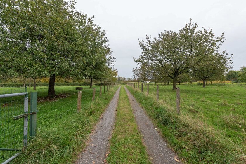 Riemst - Membruggen Rijckerstraat 16. Vrijstaande gezinswoning met 2 garages en 2 slaapkamers op een breed perceel van maar liefst 22a36ca. Mogelijkheid bijkopen extra weides. - EPC: 874 kWh/m2 - Stedenb. inl. in aanvraag - P: A, G: A. Vraagprijs: 399.000