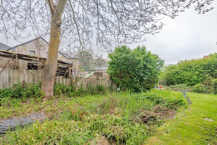 Maison unifamiliale à vendre à Bassenge