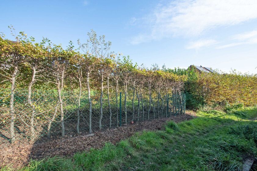 Maison unifamiliale à vendre à Riemst